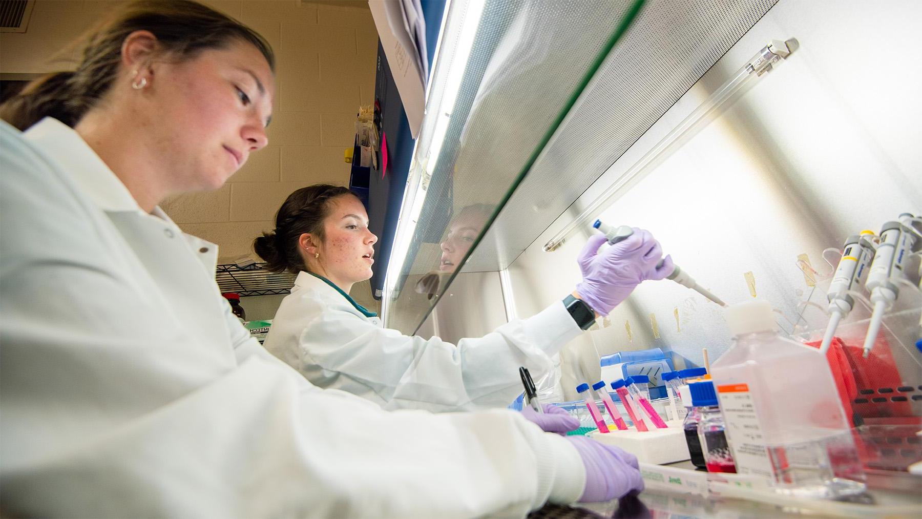 Students testing vials in labs the during a SURVE project. 